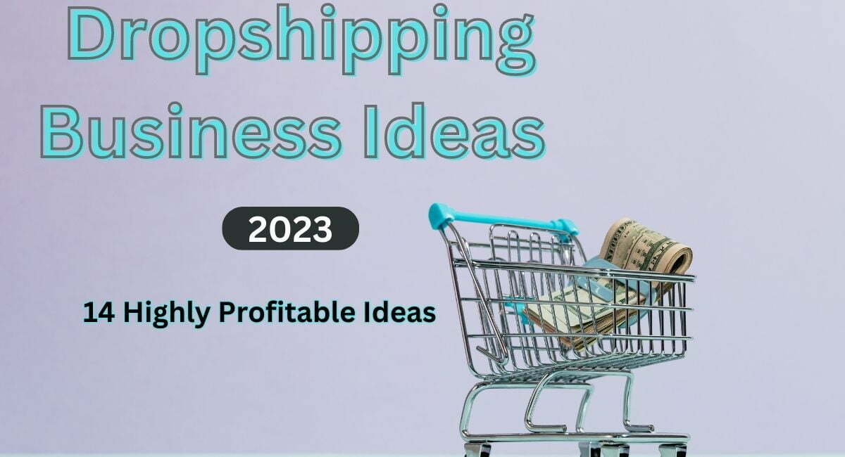 Dropshipping Business Ideas 2023: