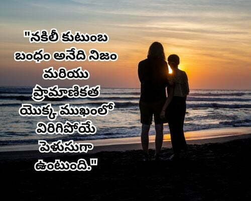 Fake Family Relationship Quotes in Telugu